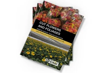 دانلود کتاب Cut Flowers and Foliages