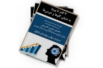 دانلود کتاب 3 گام تا ورود به دنیای گاوها و خرس ها