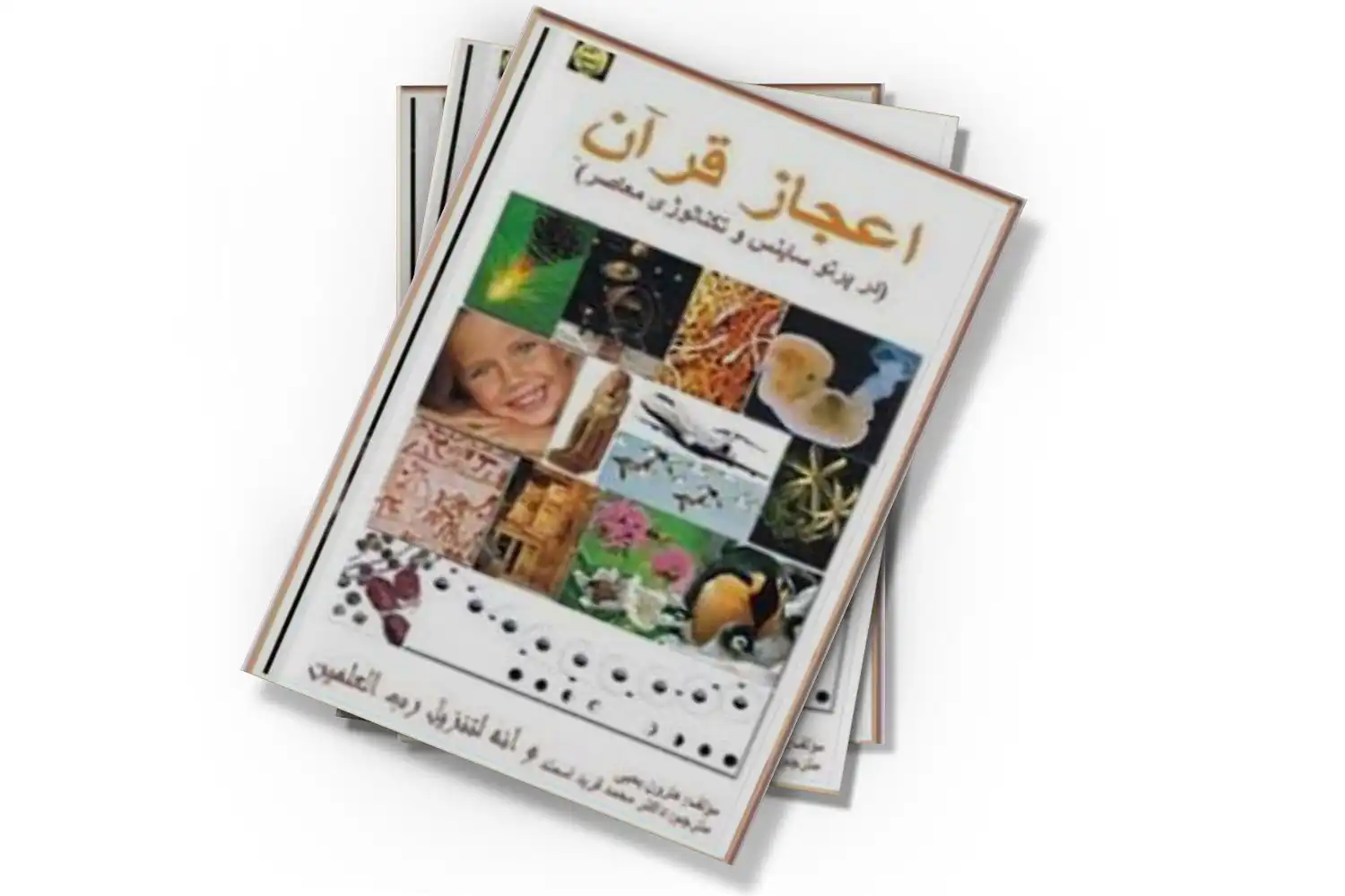 تصویر شاخص