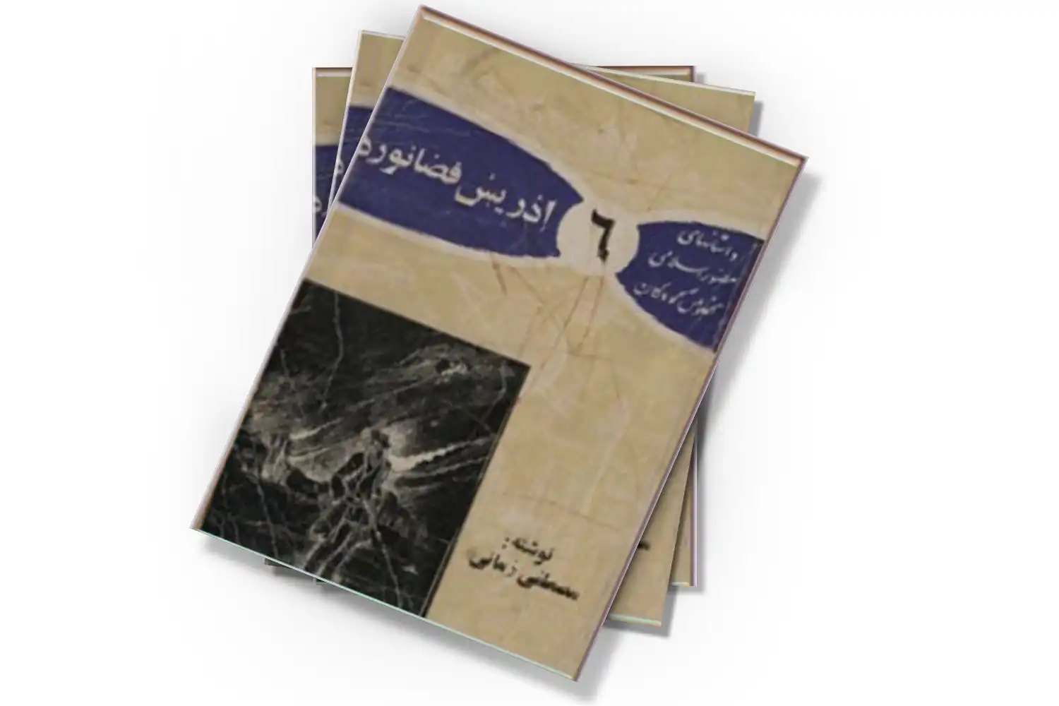 تصویر شاخص