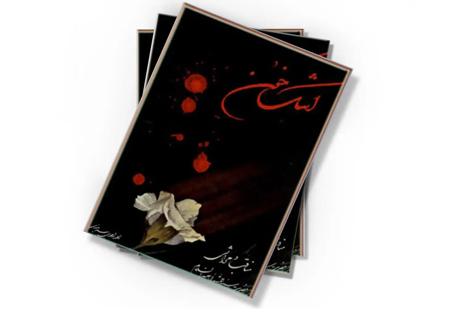 تصویر شاخص
