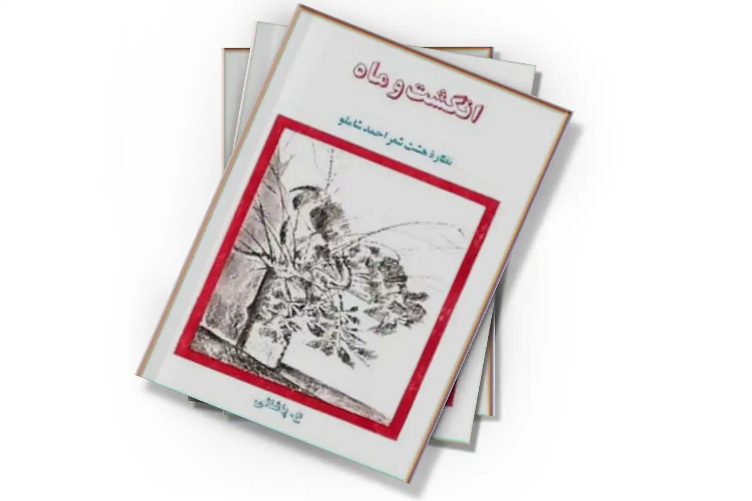 تصویر شاخص