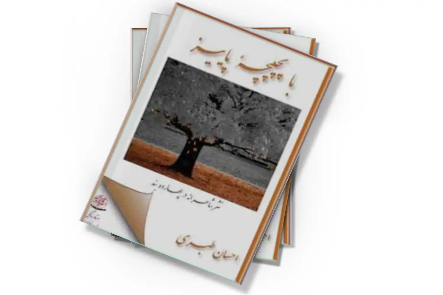 تصویر شاخص
