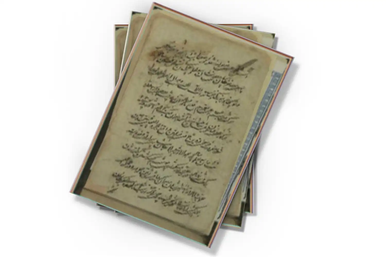 تصویر شاخص