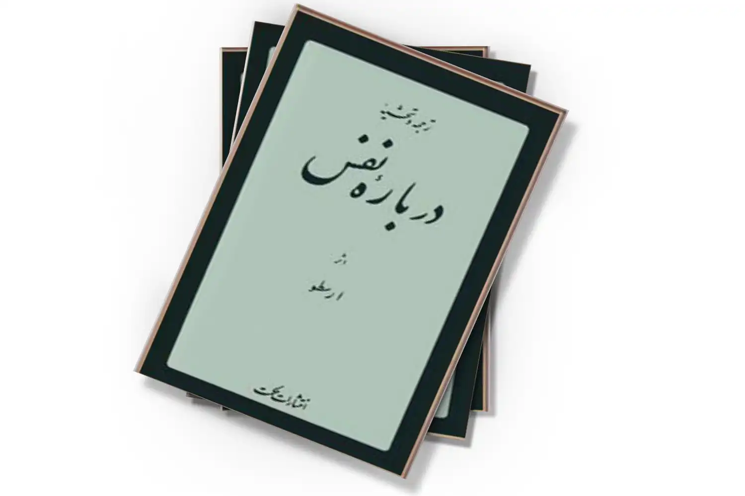 تصویر شاخص