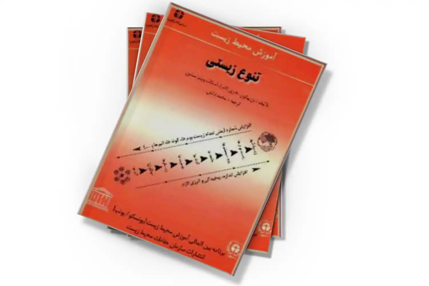 تصویر شاخص