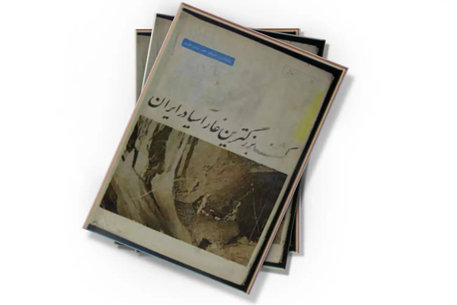 تصویر شاخص