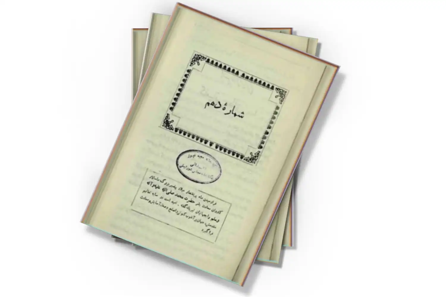 تصویر شاخص