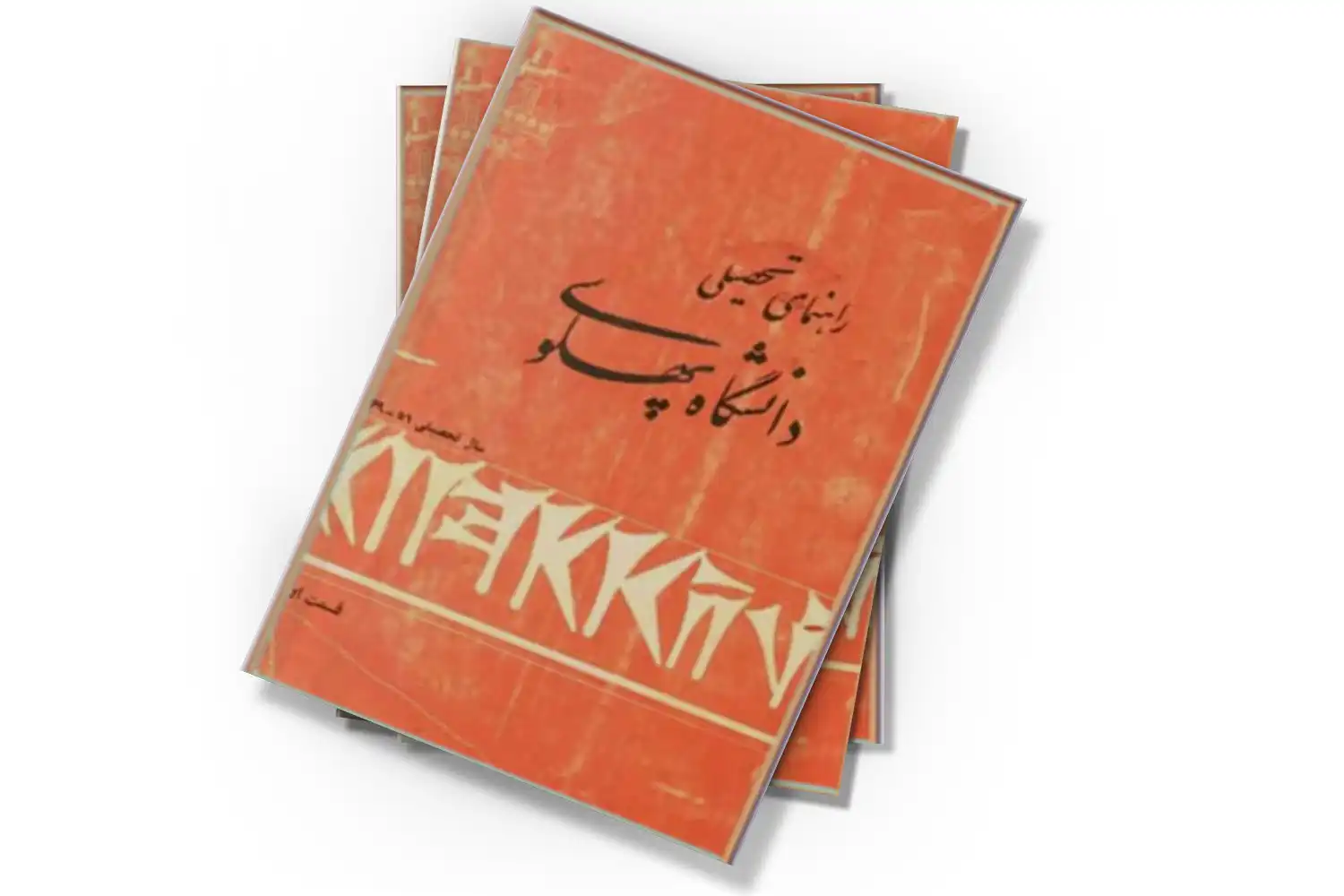 تصویر شاخص
