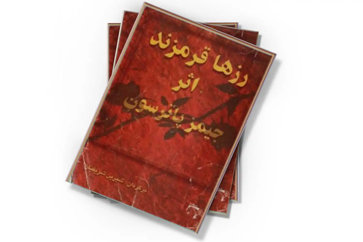 تصویر شاخص