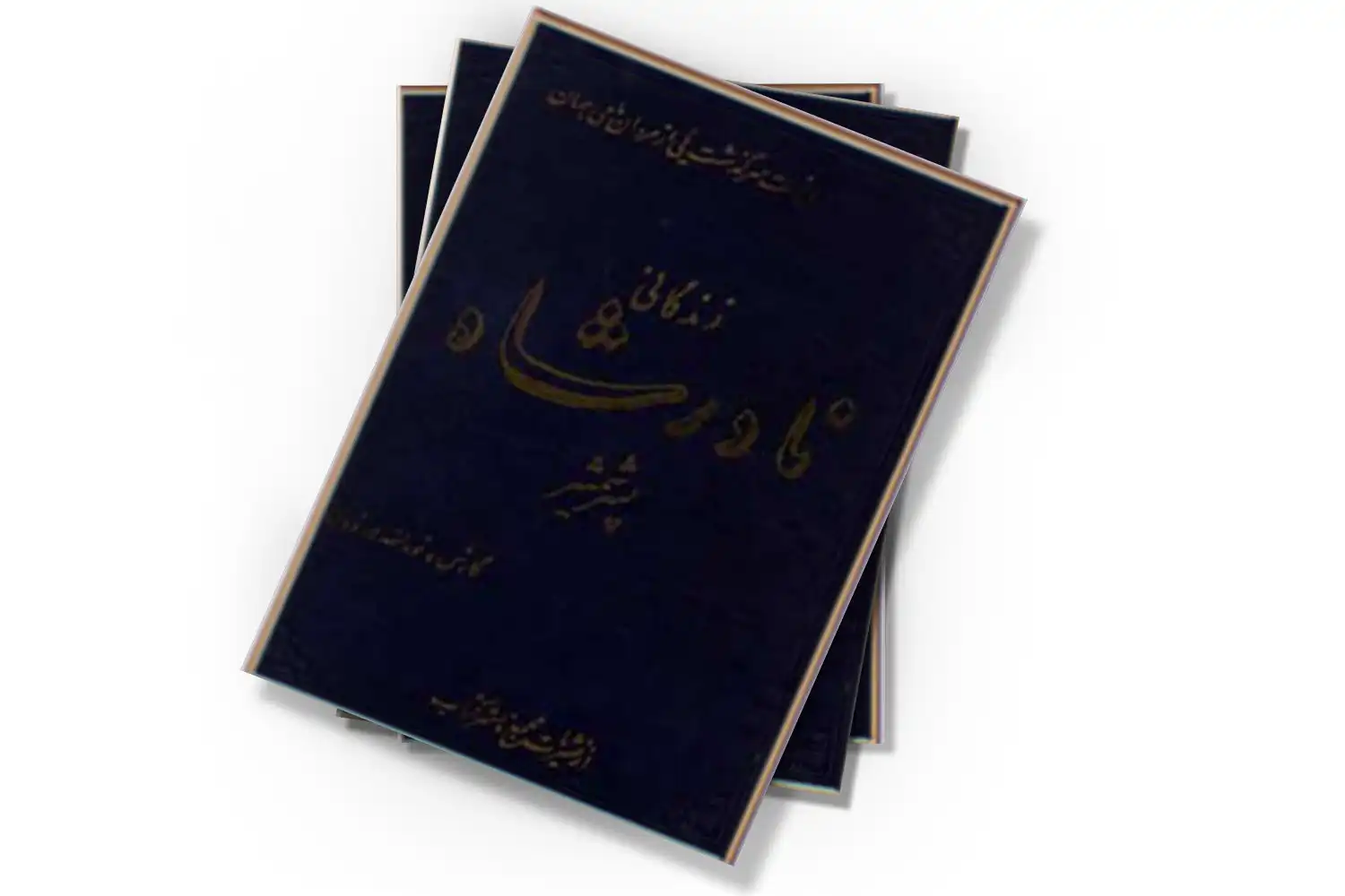 تصویر شاخص