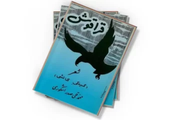 دانلود کتاب قراقوش