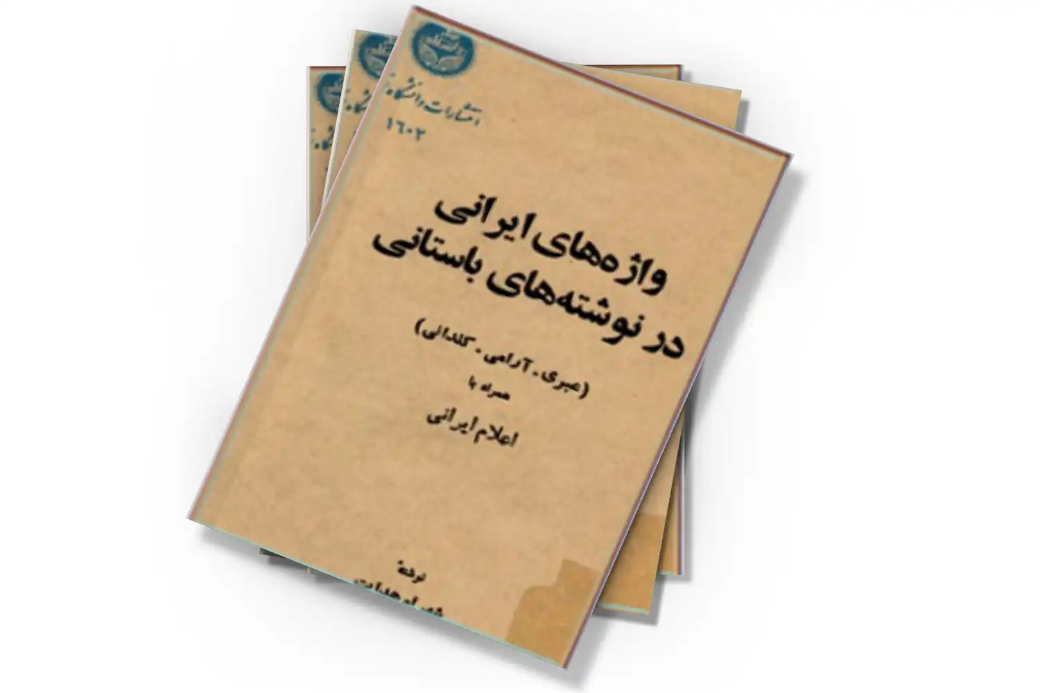 تصویر شاخص