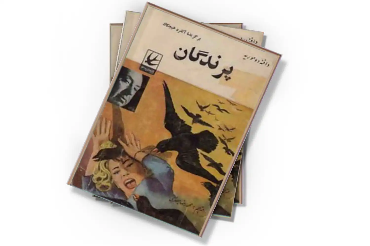 تصویر شاخص