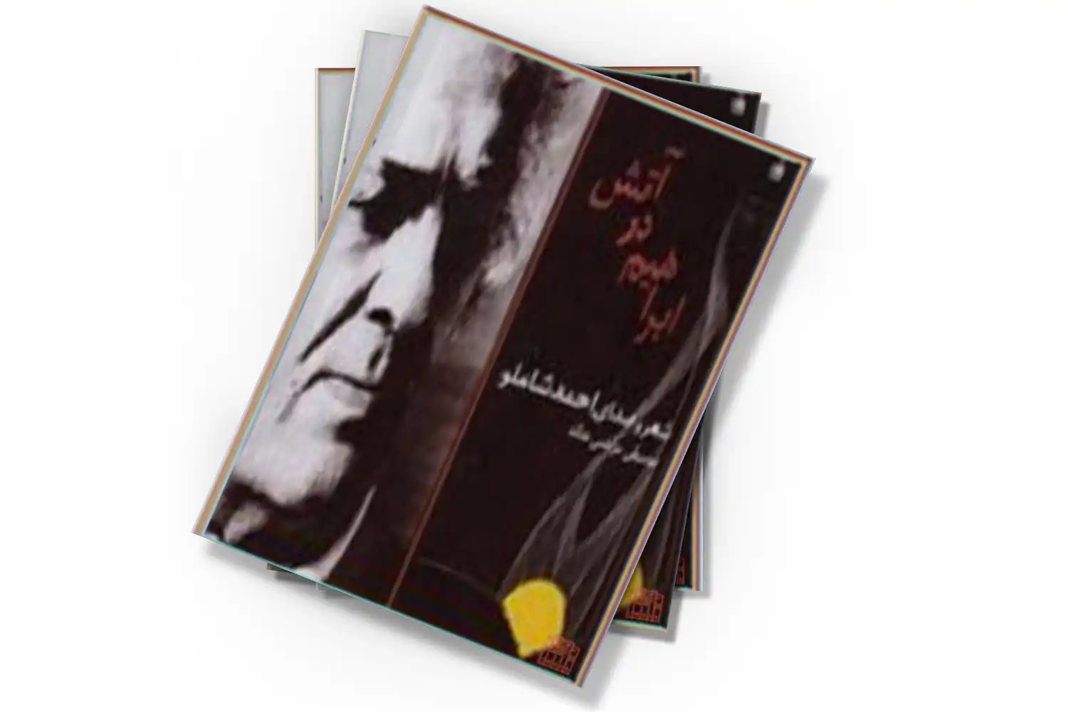تصویر شاخص