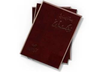 دانلود کتاب یادداشت‌هایی در زمینه فرهنگ و تاریخ