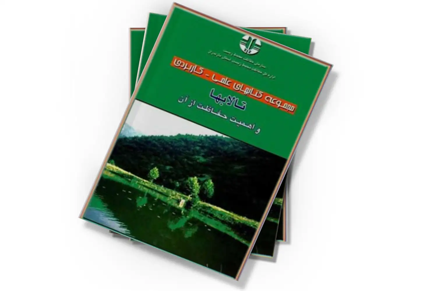 تصویر شاخص