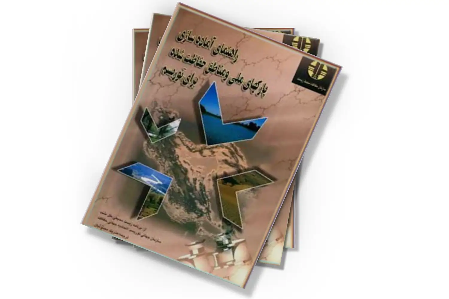 تصویر شاخص