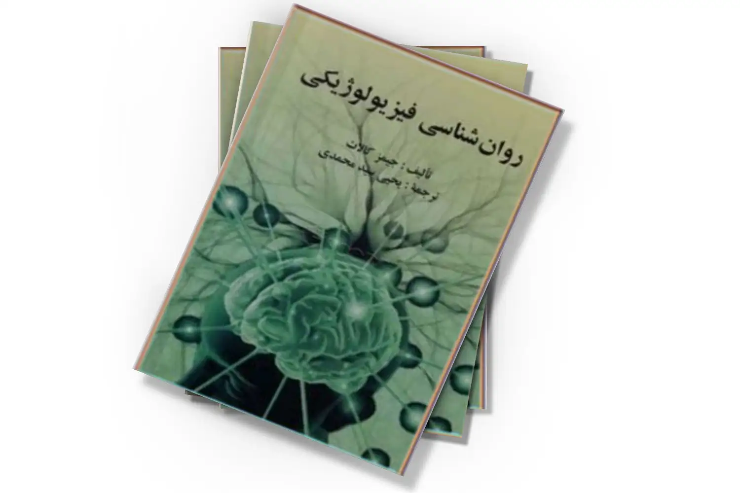 تصویر شاخص
