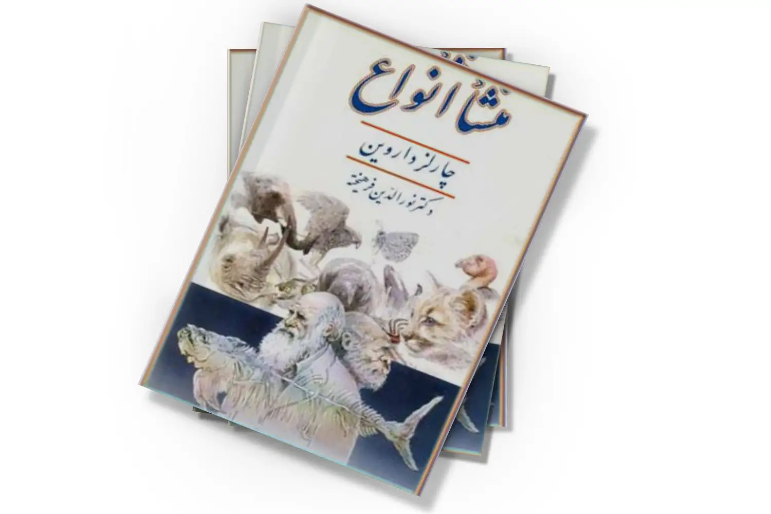 تصویر شاخص