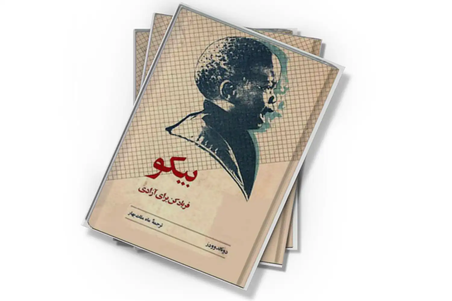 تصویر شاخص